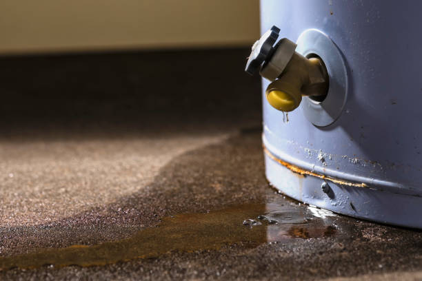 Best 24-hour water damage restoration  in Lakes East, CT