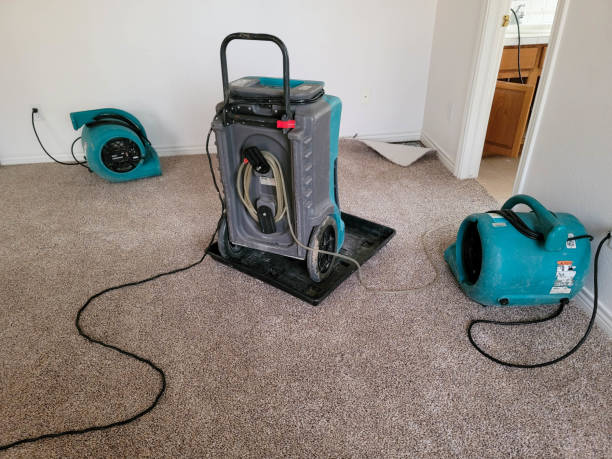 Best Professional water damage repair  in Lakes East, CT